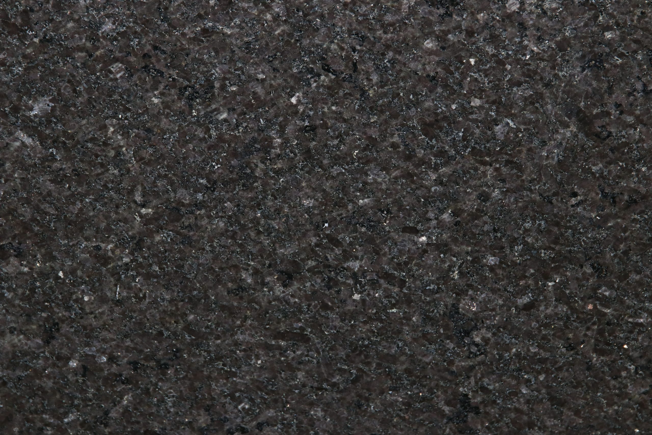 BLACK PEARL